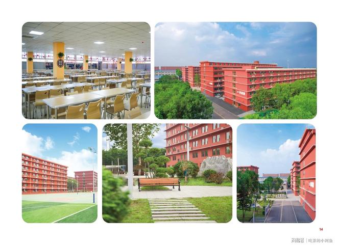 本丨山东专升本培训行业标杆J9国际集团师大教育专升(图13)