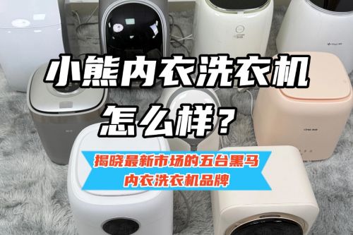 揭晓最新市场的五台黑马内衣洗衣机品牌九游会j9登陆小熊内衣洗衣机怎么样？(图10)