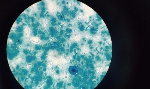 揭晓最新市场的五台黑马内衣洗衣机品牌九游会j9登陆小熊内衣洗衣机怎么样？(图13)